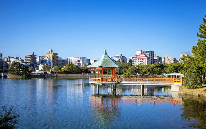 Sights to See by Train