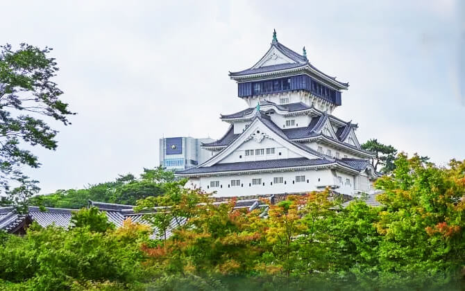 Nearby Attractions