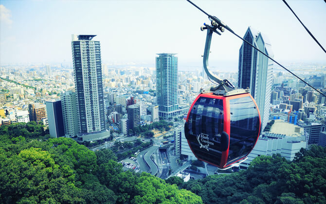 Nearby Attractions