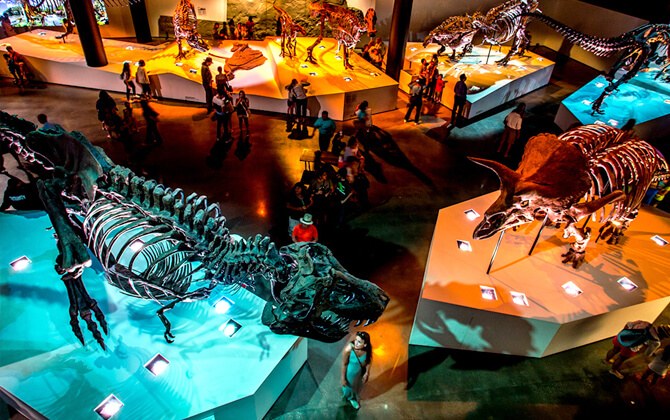 Houston METRO Rail Attractions by Line