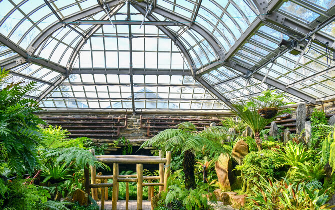Chestnut Hill West Line Attractions